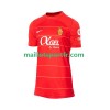 Maillot de Foot RCD Mallorca Domicile 2023/24